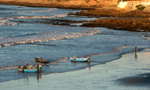 pescatori di taghazout