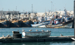 al porto di agadir