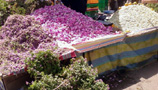 fiori al mercato