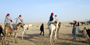 passeggiata nel deserto